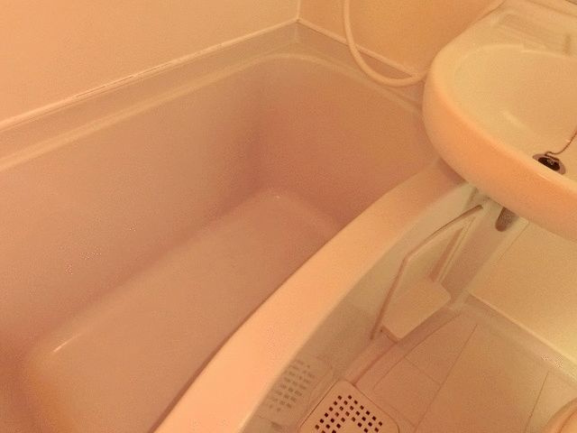 シャルマン本町の浴室