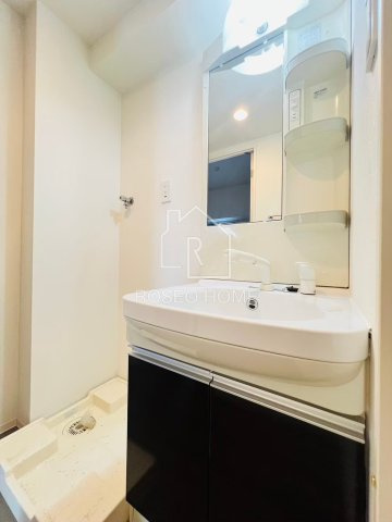 プレミアムコート谷町四丁目の洗面所