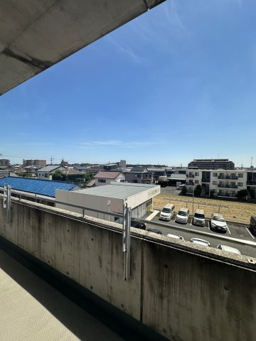 ニューラフィーネの展望