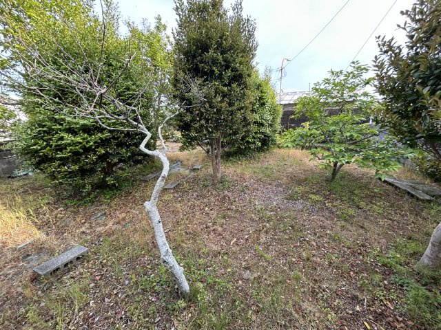大潟町93番5　土地の周辺