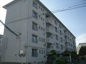 浅香山住宅22号棟（新浅香山小学校）の画像