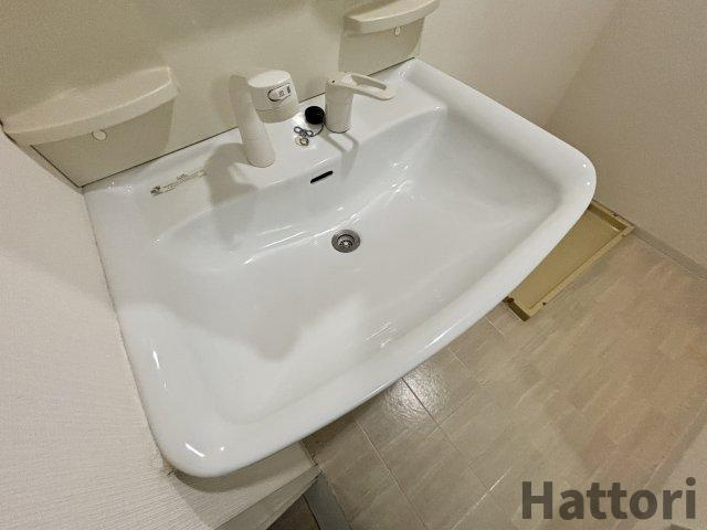 ヴィラウッドランドⅡの洗面所