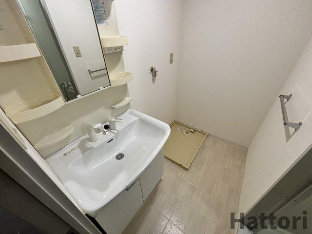 ヴィラウッドランドⅡの洗面所