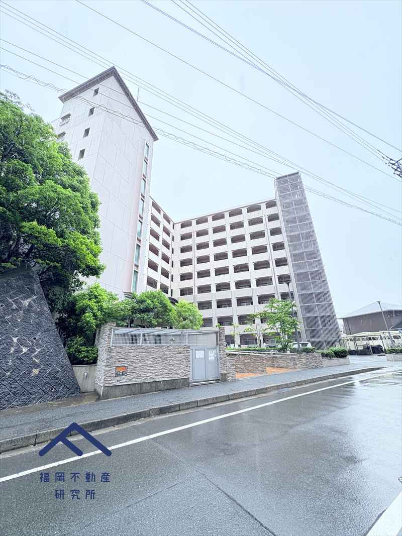 エクセレンス荒江