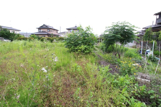 筑西市小川の外観|北東側から北西側を撮影しました！