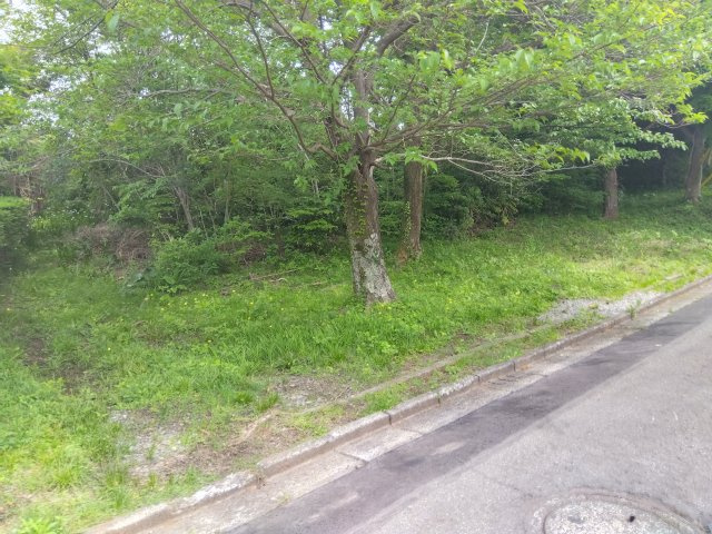 売土地　伊東市十足の外観|建築条件なし！お好きなハウスメーカーでお家が建てられます。緑豊かな場所にあります。自然を身近に感じる事が出来ます。