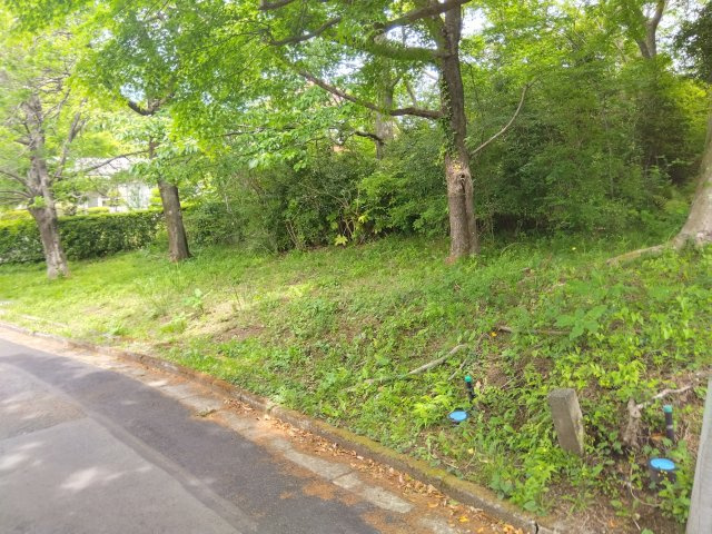 売土地　伊東市十足の外観|敷地が約150坪と広々としています。自由な間取りでお家が建てられます。駐車場を広く取る事も可能です。