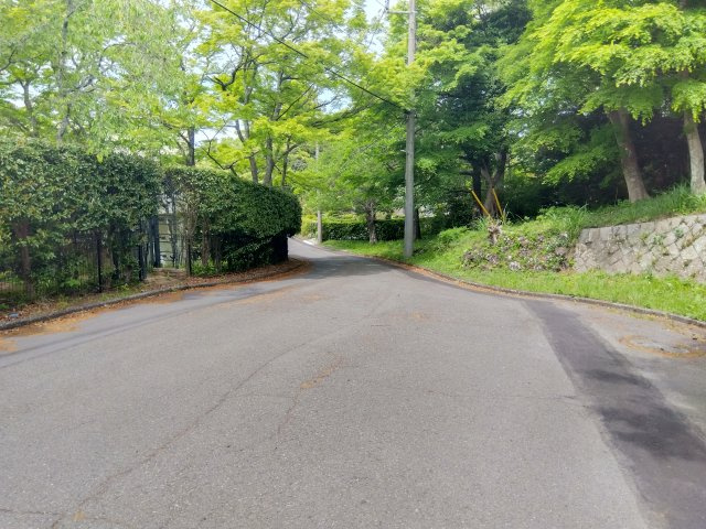 売土地　伊東市十足の周辺|近くに一碧湖があります。湖の周りはお散歩コースにおすすめです。水上アクティビティも楽しめます。