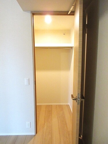 ザ・サーパスタワー新潟万代シティの収納|洋室約5.5畳　ウォークインクロゼット