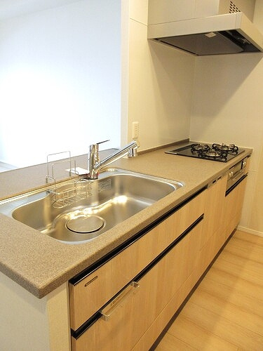 ザ・サーパスタワー新潟万代シティのキッチン|キッチン