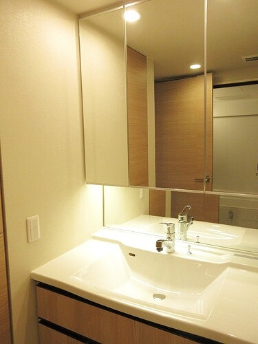 ザ・サーパスタワー新潟万代シティの洗面所|洗面所