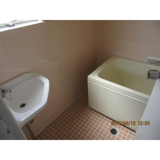 ダイヤモンドレジデンス亀有の洗面所