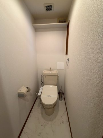 ルミエール合川の洗面所