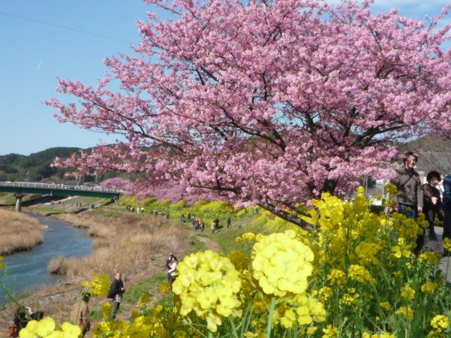 M0246G　南伊豆町加納土地の周辺
