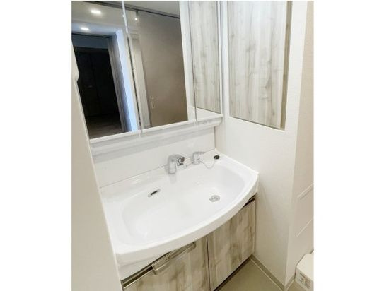 プレサンス新宿中落合メーディオの独立洗面台