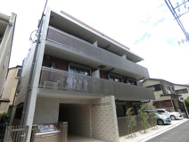 ブロケードグレースの画像