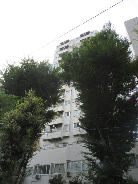 キャッスル新宿の外観|共用設備も整っている分譲マンション☆