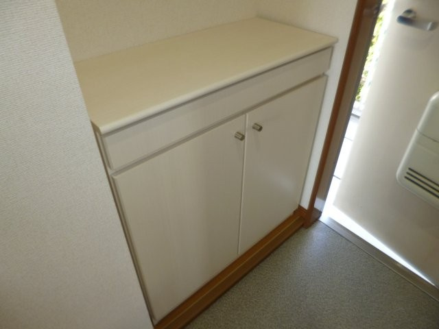 ニューシティ大島の内装|シューズボックス