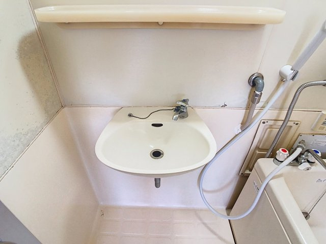 ヤマシチハイツの洗面所