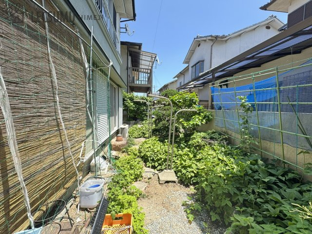 姫路市白浜町/中古戸建の庭