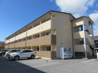 ヴィクトリーⅡの画像