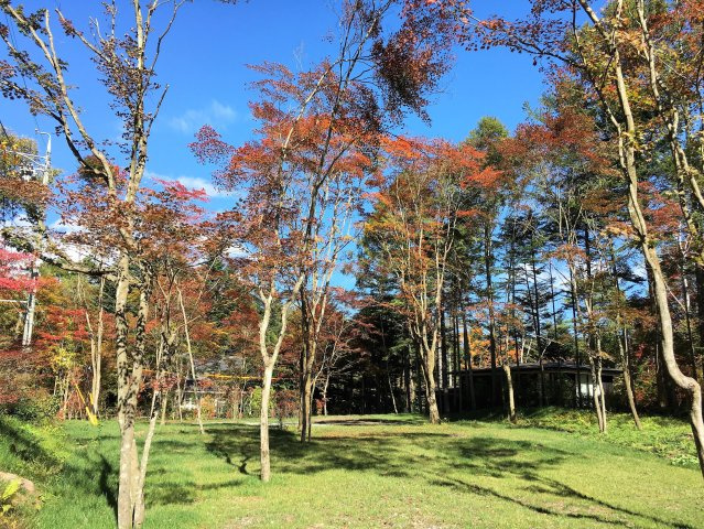 軽井沢・南ヶ丘土地　A区画（建築条件付き）の画像