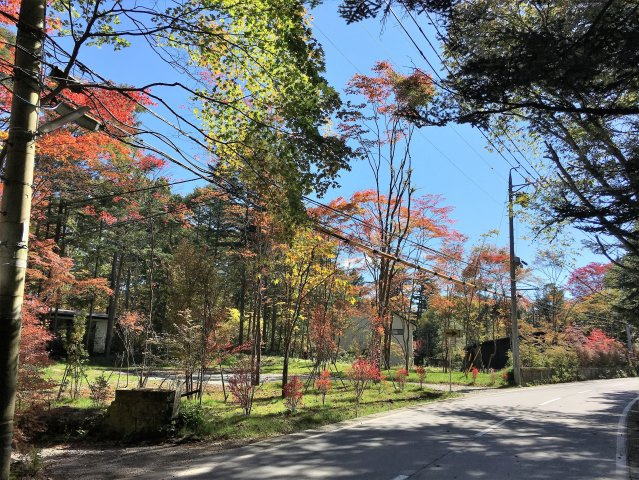 軽井沢・南ヶ丘土地　A区画（建築条件付き）の画像