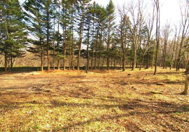 軽井沢・太郎山別荘地　売地の画像