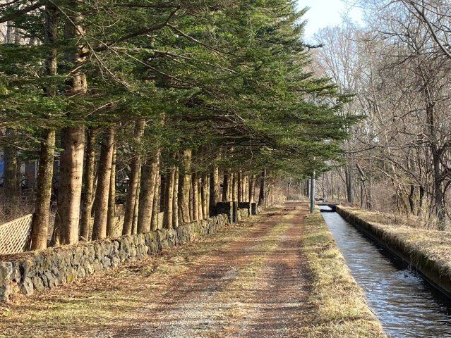 軽井沢・太郎山別荘地　売地の画像