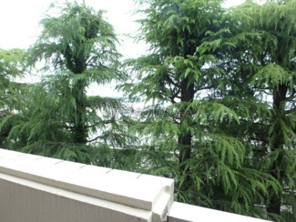 【展望】 | 眺望