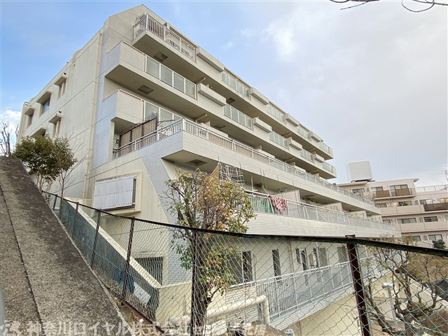 カロディカーサ藤が丘の画像