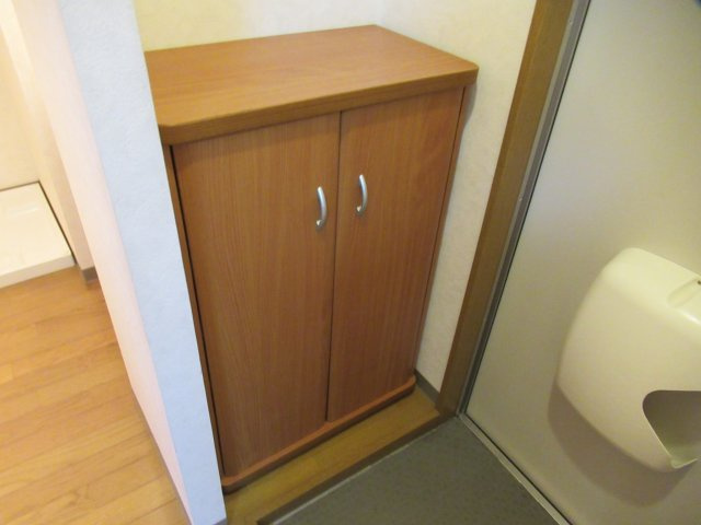 ライフステージ元木家持の収納|サンプルになります。