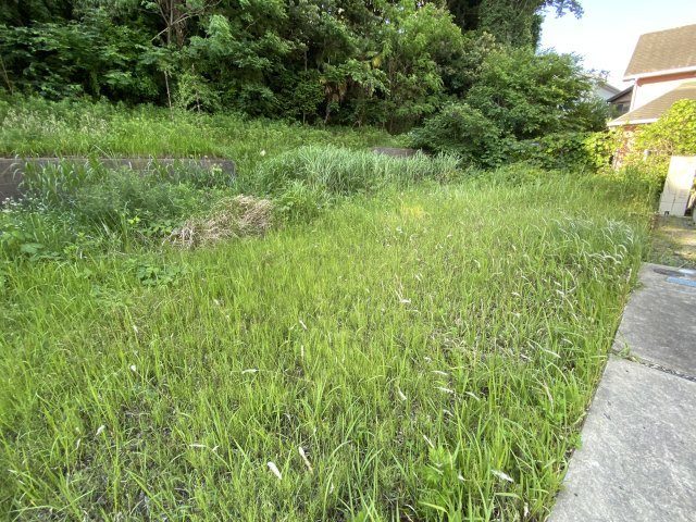 建築条件なし　売地114.53坪（378.64㎡）佐倉市城内町の外観