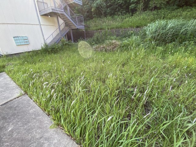 建築条件なし　売地114.53坪（378.64㎡）佐倉市城内町の外観