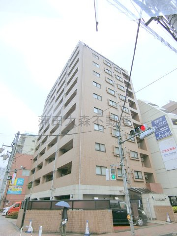 グランイーグル蒲田Ⅱの外観
