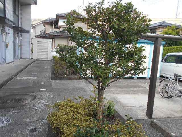 レオパレスピュアベリーのその他