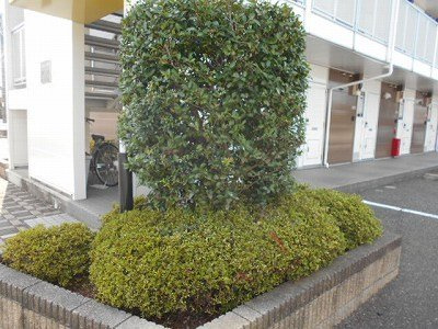 レオパレスアルコバレーノⅡのその他