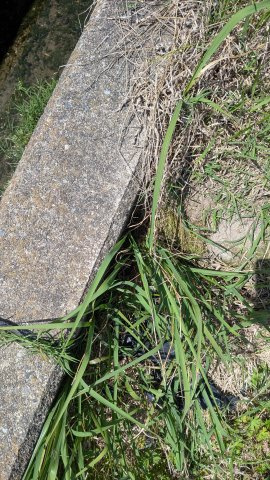 土地　粟野西5丁目の周辺