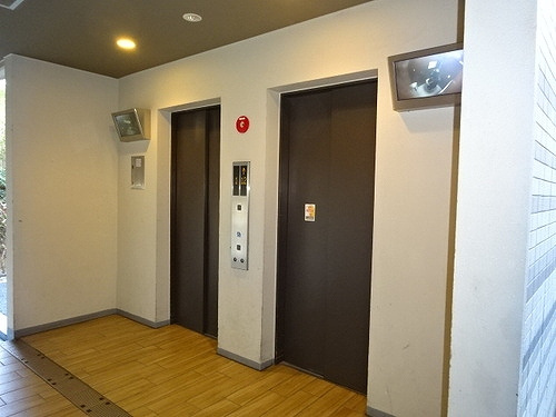 ミリカ・テラス２街区のその他|エレベーターホール