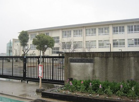 東区野尻町　戸建ての周辺|堺市白鷺小学校まで徒歩８分