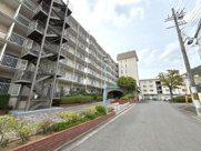 K51292-京都北山ｽｶｲﾊｲﾂの画像