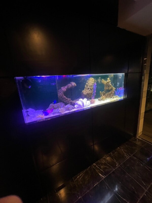 【ロビー】 | グランフォーレ千早プレミア　★プライスホームなら仲介手数料が割引価格です★