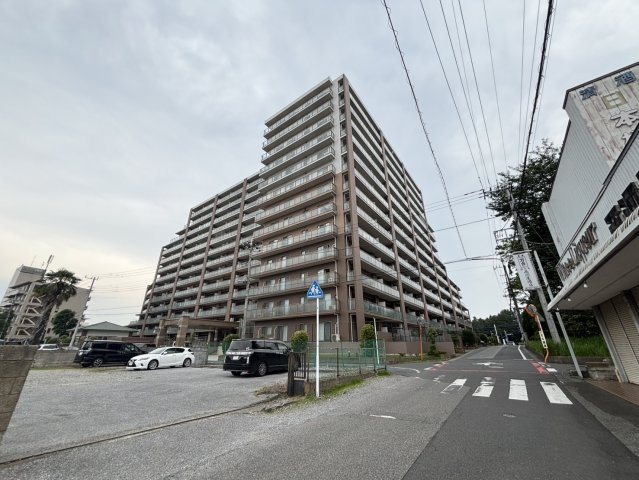 エクセレントプレイスドリームマークス　