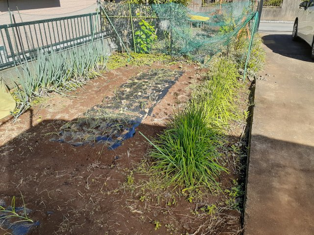 東松山市幸町　 土地４９坪の外観