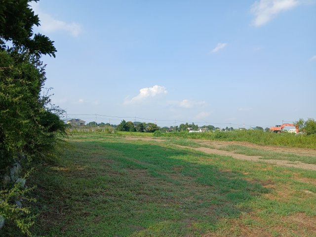 吉見町中新井  土地97坪の外観