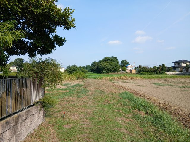 吉見町中新井  土地97坪の外観