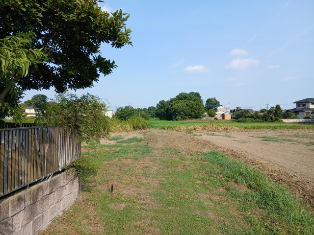 吉見町中新井  土地97坪の外観