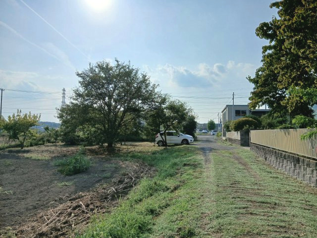 吉見町中新井  土地97坪の外観