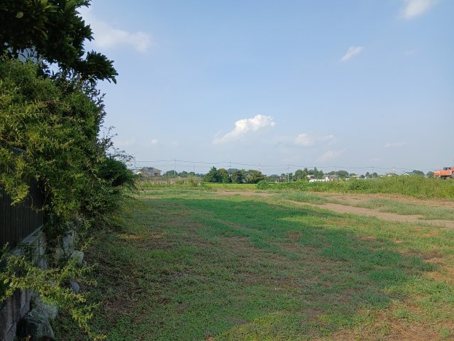 吉見町中新井  土地97坪の外観