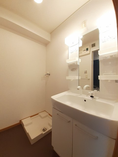 フィオーレⅡの洗面所